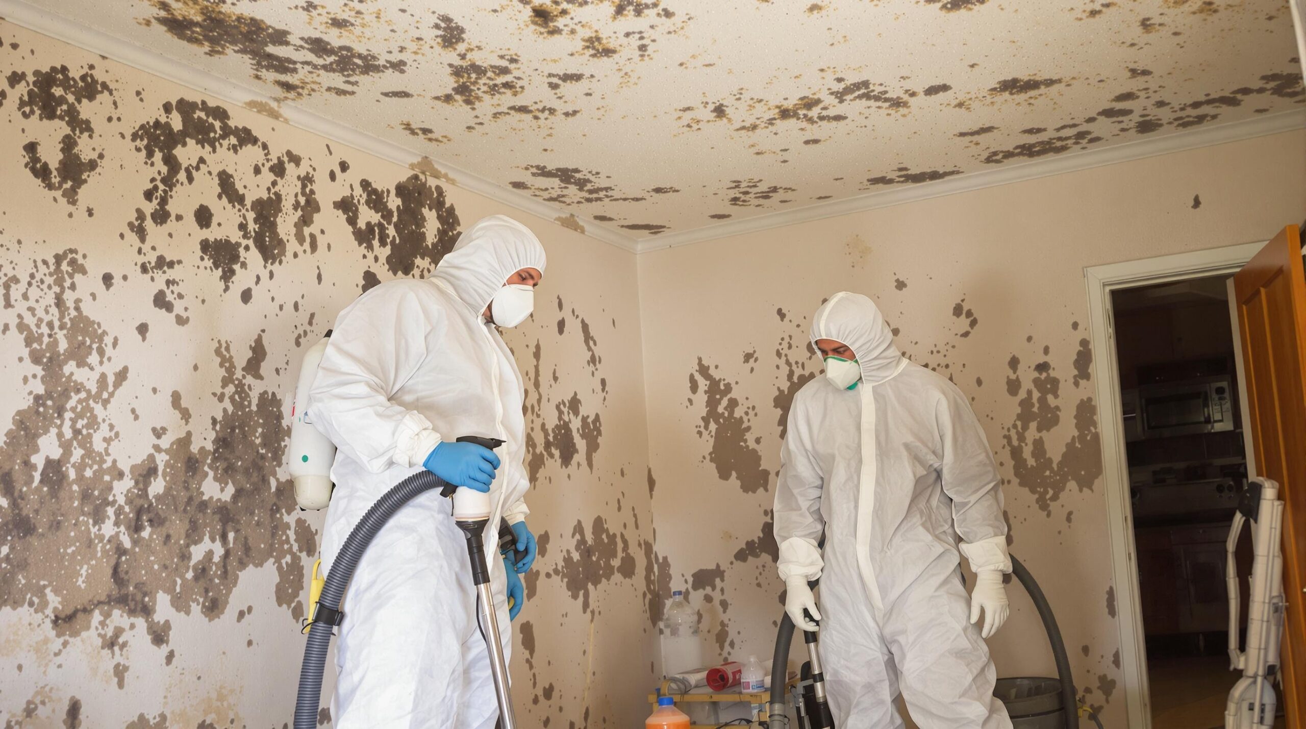 Care Pro Water Damage Restoration